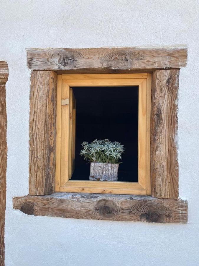 The Wooden House Daire Valle di Cadore Dış mekan fotoğraf